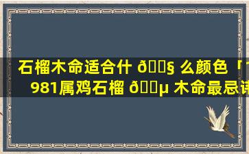 石榴木命适合什 🐧 么颜色「1981属鸡石榴 🌵 木命最忌讳什么」